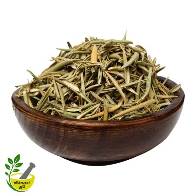 برگ زیتون