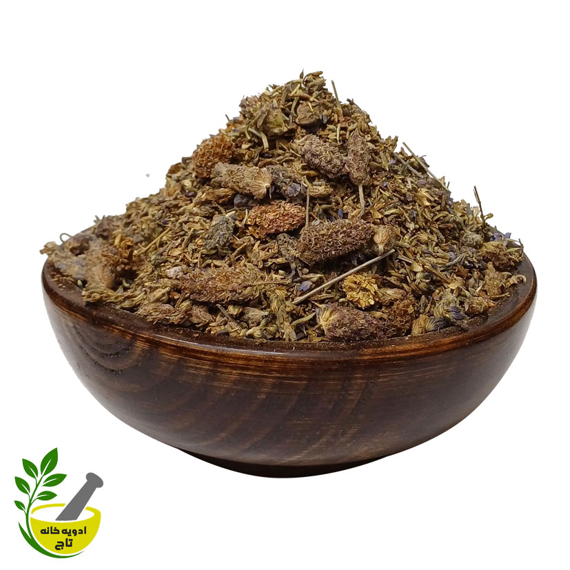 اسطوخودوس خارجی اسطوخودوس خارجی