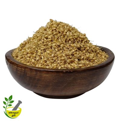 پودر جوانه گندم