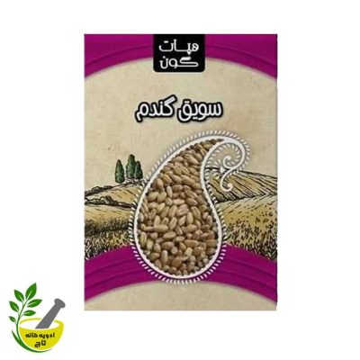 سویق گندم
