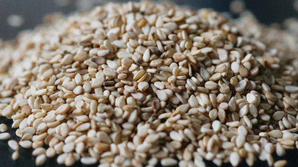 انواع دانه‌ های کنجد